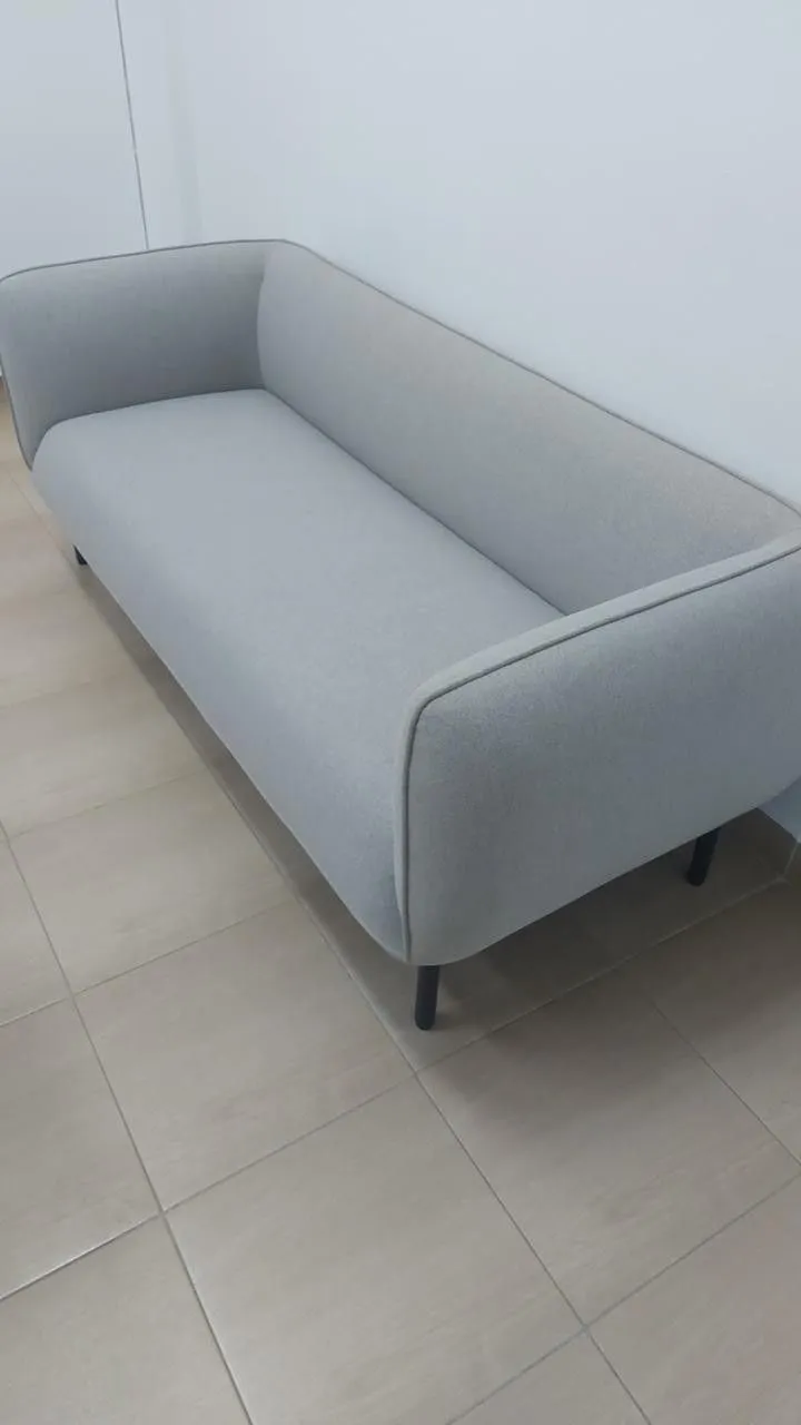 Contemporary Chic Sofa